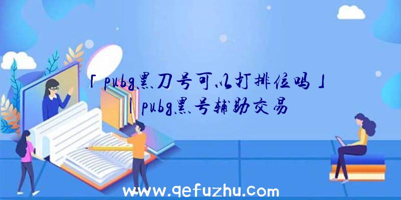 「pubg黑刀号可以打排位吗」|pubg黑号辅助交易